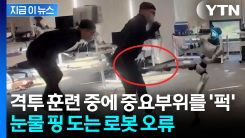 중국 휴머노이드의 아찔 오류?...\'급소 발차기\' 영상에 머스크도 댓글 [지금이뉴스]