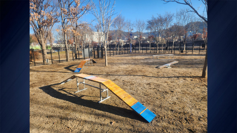 강원 양구군, 반려견과 함께하는 '무료 자연 놀이터' 운영