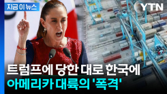 "한국에 50%" 멕시코, 새해 벽두부터 폭탄...트럼프 떠오르는 날벼락 [지금이뉴스]