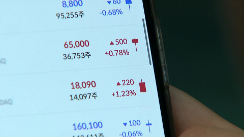 '최고 30%' 고배당 기업 배당소득 분리과세 도입