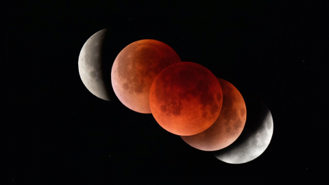 붉은 달부터 별 비까지…병오년 밤하늘 '우주쇼'