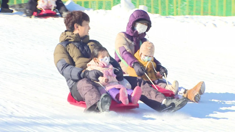 활기찬 2026년 ’말의 해’ 첫날…추위에도 나들이객 ’북적’