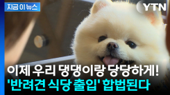 \'애견동반\' 이제 식당에서 합법..."희망하는 업소에 적용" [지금이뉴스]