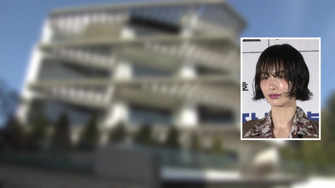 나나, 자택 강도에 역고소 당해…"유명인인 점 악용"