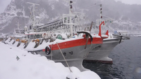 울릉도 사흘 동안 30㎝ 폭설...비상 제설 작업