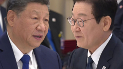 오는 5일 한중 정상회담..."정부, 하나의 중국 존중"