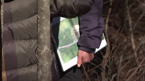 [제보는Y] "엉터리 지하수 조사"…백두대간 \'가목 습지\' 훼손 무방비