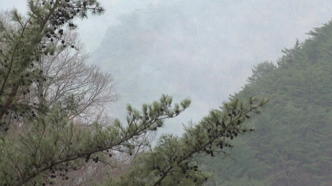 [날씨] 아침 반짝 추위…밤사이 경기·강원 눈, 살얼음 유의