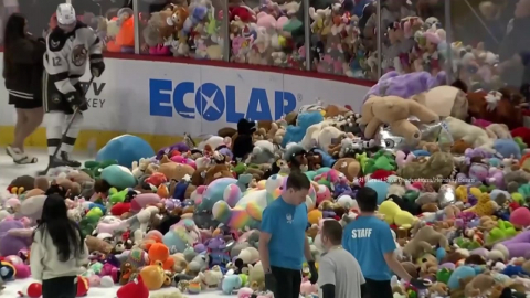 눈처럼 빙판에 쏟아진 '사랑의 곰 인형'