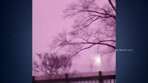 "온 세상이 분홍빛"…미국에서 포착된 진풍경