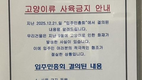 "고양이 키우면 이사해라"…인천 오피스텔 공지 논란
