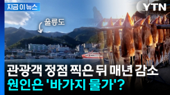 \'바가지 요금 논란\' 울릉...관광객 정점 찍은 뒤 매년 감소 [지금이뉴스]