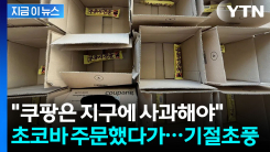 쿠팡에서 초코바 샀다가 \'기절초풍\'..."지구에 사과해야 한다" [지금이뉴스]