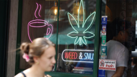 태국, 대마 규제 강화 추진..."의료시설만 판매 허용"