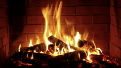 영상 하나 올리고 홀연히 사라진 유튜버..."매년 2억원 수익 추정"