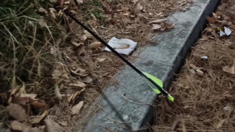 산책하던 시민 옆에 화살 ’퍽’...경찰 용의자 추적 중