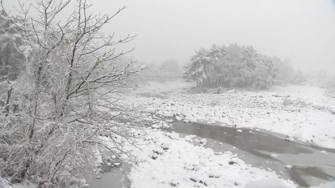 주말 전국에 눈, 강원 대설…휴일부터 다시 한파