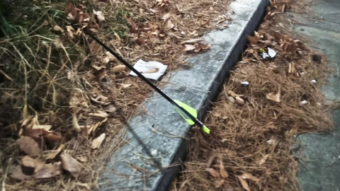 산책하는 여성 주변에 화살 쏜 20대 2명…출석 요구