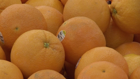 가격은 낮고 당도는 높고…무관세 만다린의 ’공습’