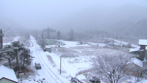 강원 내륙 산지 중심 ’대설 주의보’…강한 눈 예보