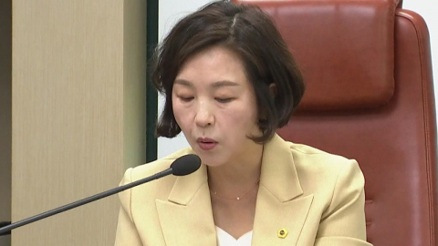 ’강선우 1억 의혹’ 김경, 모레 귀국…쟁점은?