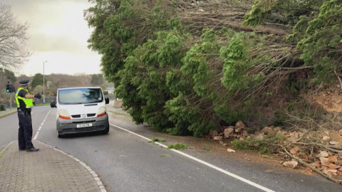 아름드리 고목도 쓰러뜨린 영국 강풍…정전·교통 차질 속출