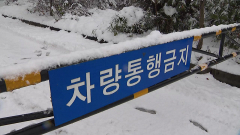 ’대설·강풍’에 바닷길·하늘길 통제…곳곳 피해 속출