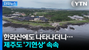 [자막뉴스] 제주도, 기록 세우더니...곳곳 송두리째 변화