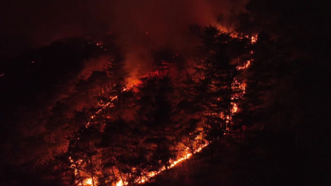 의성 산불 ’눈’ 덕분에 큰 피해 없이 완진…강풍·건조 ’산불 비상’