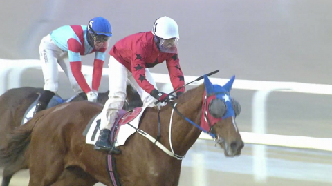 [주간 경마] 얼마나 대단하면? 닉스고 도입 기념경주