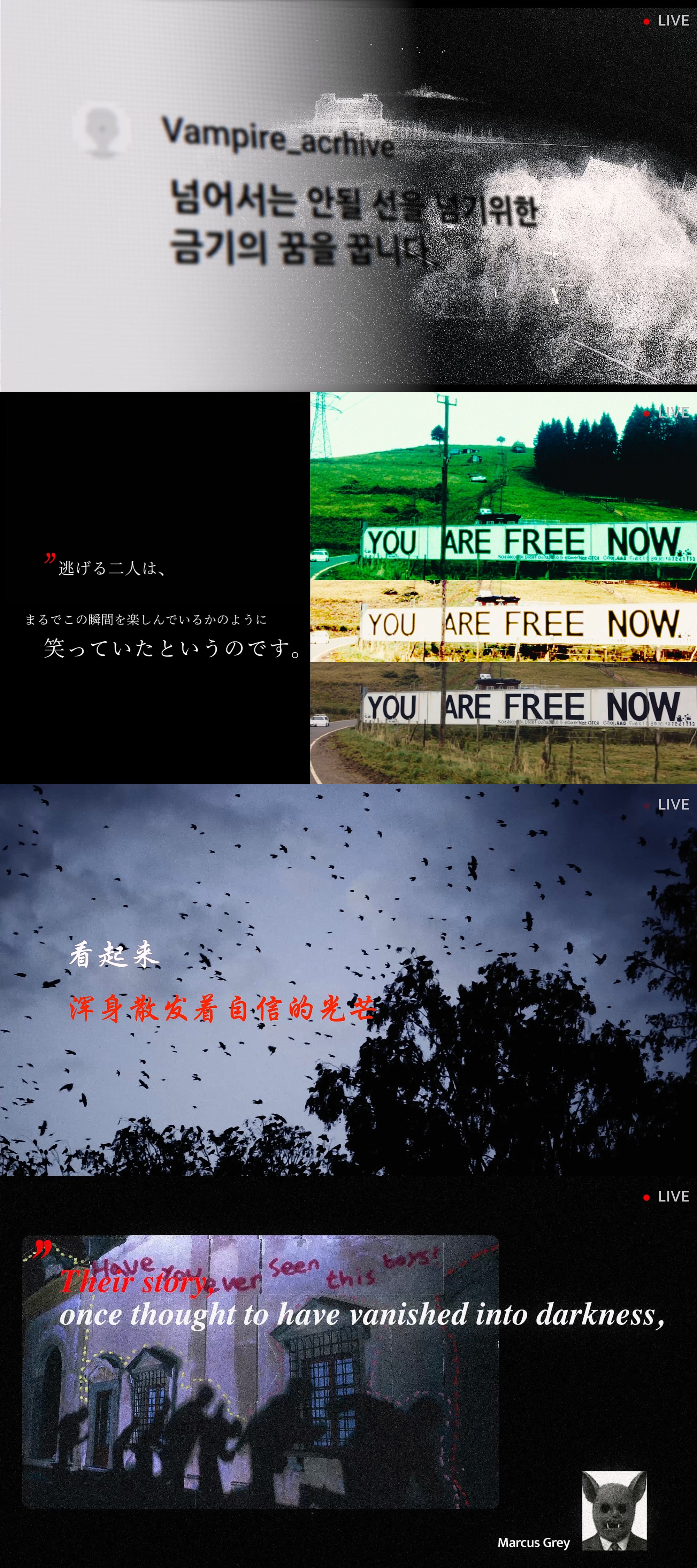 엔하이픈도 ‘박정민 효과‘ 볼까…내레이션 프리뷰 영상 공개