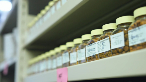 "사료 아닌 식품"...2조 원대 ’K-펫푸드’ 시장 노린다