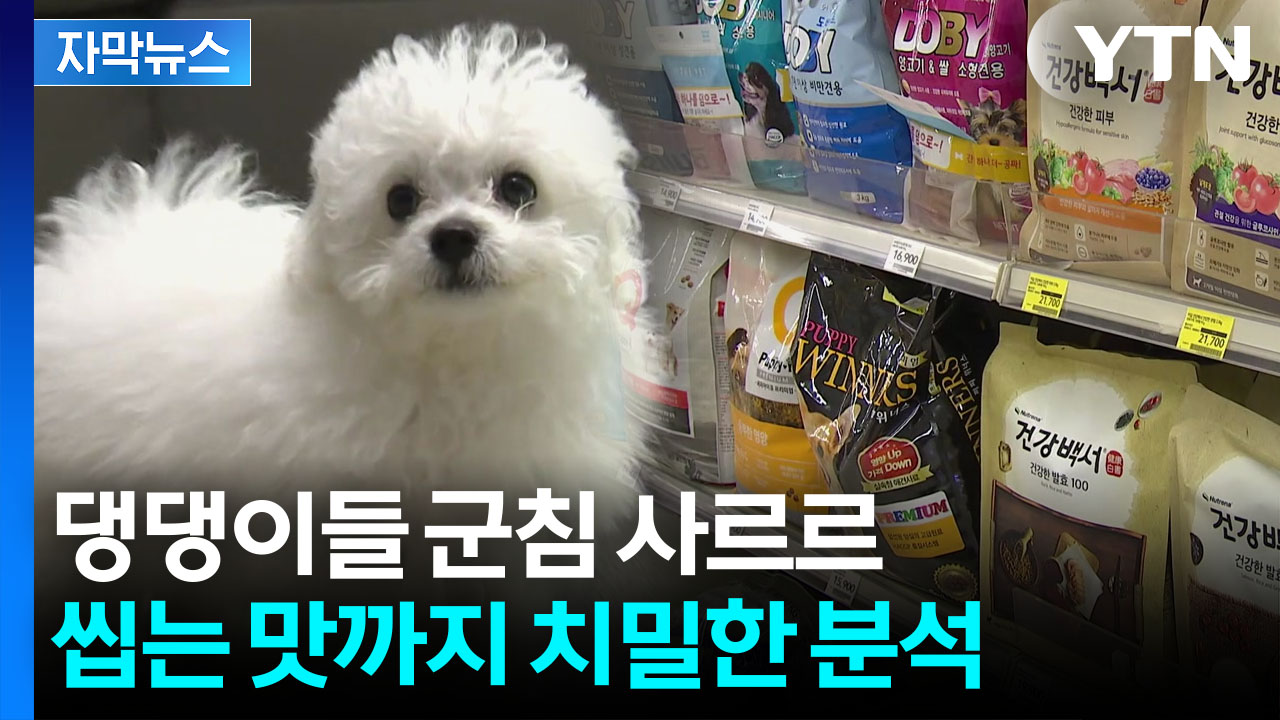 [자막뉴스] 반려 인구 확산에 승부수...2조원 대 시장 공략