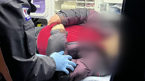 섬마을 주민 6명 복어 중독…냉동 보관했다 튀겨 먹어