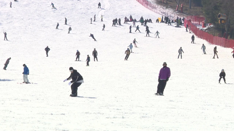 생존 위기 스키장…’전기요금·국공유림 대부료’ 대책 요구