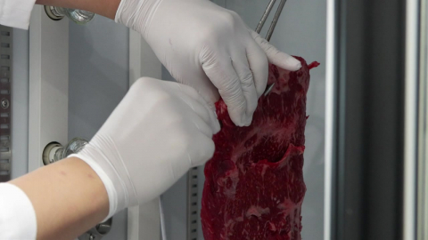 [녹색] "3주 숙성을 단 이틀 만에"…적외선이 만든 '마법의 소고기'