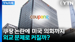 쿠팡 논란에 美 의회까지... 외교 문제로 커질까? [굿모닝경제]