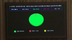 [현장영상+] '2차 종합특검법' 172명 찬성으로 통과 