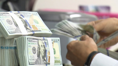 금융당국 ’환율 방어’ 본격화…IMF "한국, 환율충격 취약"