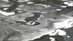 [속보] 경기·강원 한파경보...서울 등 전국 대부분 한파주의보