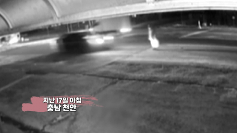 음주 뺑소니 후 "개를 친 것 같다"…결국 구속 [앵커리포트]