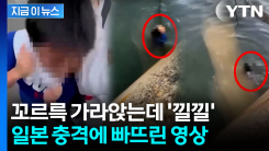 초등생 목 조르고 바다에 빠뜨려...발칵 뒤집힌 일본 [지금이뉴스]