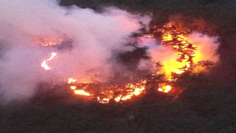 울산 산불 2시간 만에 진화…산불 조심 기간 조기 시행