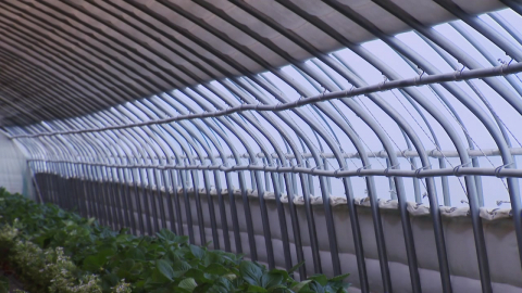 한파에 농작물 보온 비상·서해안 어선 조업도 중단