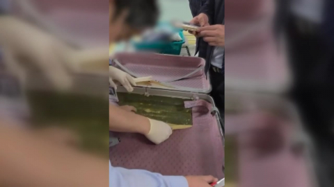 지난해 마약 적발 3.3톤 ’역대 최대’…밀수 주범 ’여행자’