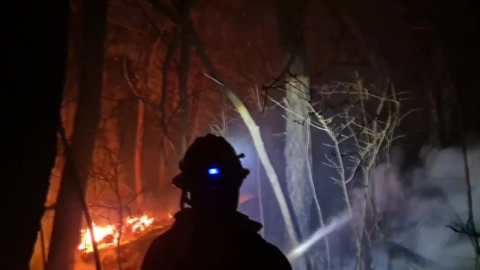 광양 산불에 국가소방동원령 발령…"진화율 80%"