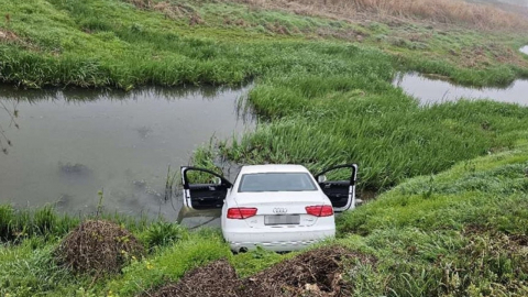 양식장 주인과 짜고 벤츠·아우디 '풍덩'…억대 보험금 타낸 일당