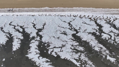 [날씨] "남극에 온 것 같아요"...물결 그대로 얼어붙은 파도