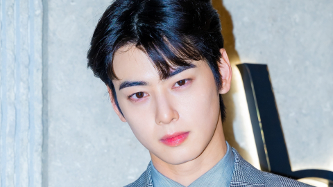 '200억 탈세 의혹' 차은우, 모친 법인 주소지가 강화도 장어집? 