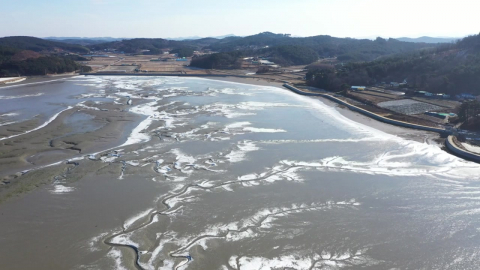 "최강 한파에 바다도 얼었다"…어선도 발 묶여
